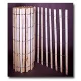 Snow Fence